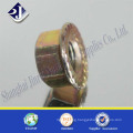 Screw Hex Flange Nut DIN6923